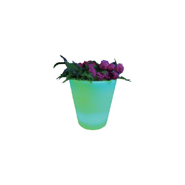 FLOWER POT